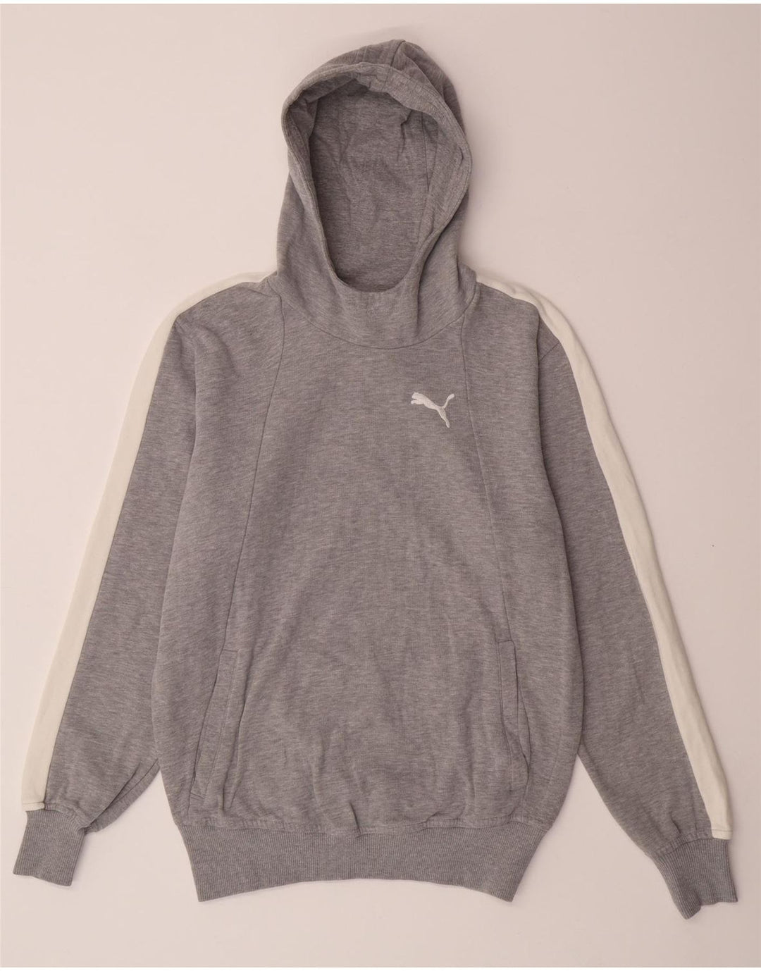 PUMA Mens Hoodie Jumper Medium Grey Colourblock