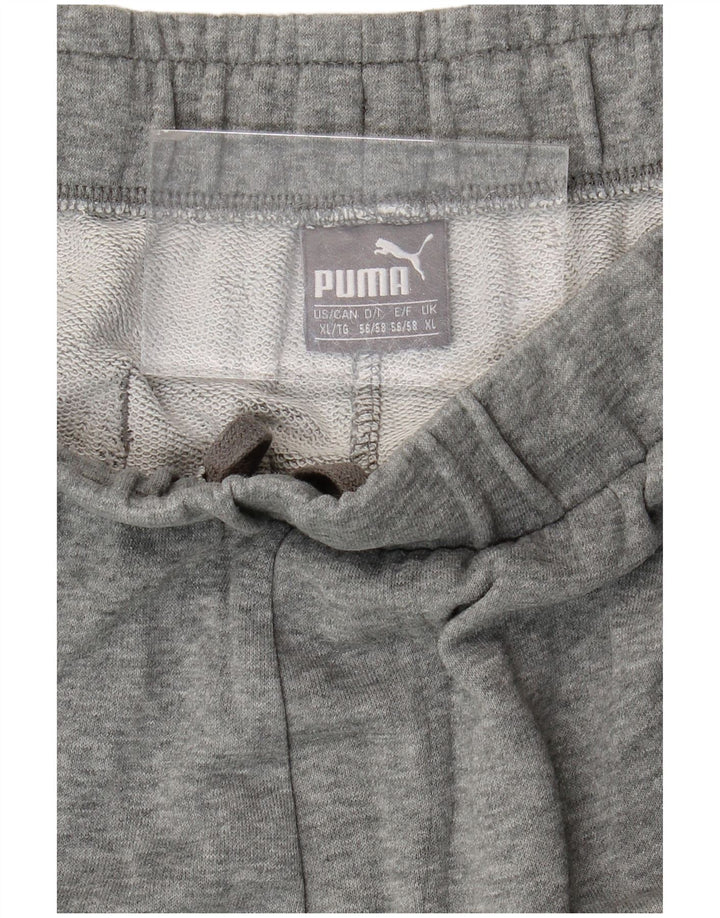 Puma Herren Graphic Sport Shorts XL Grau Farbblock