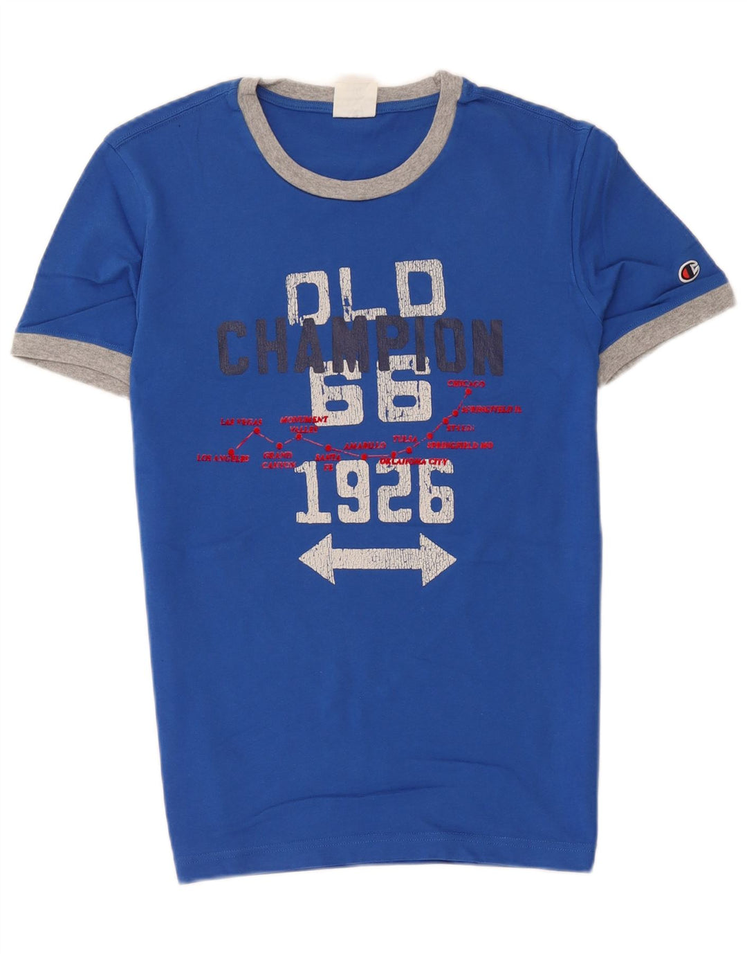 Champion Herren-T-Shirt mit Grafik, klein, Blau, Farbblock