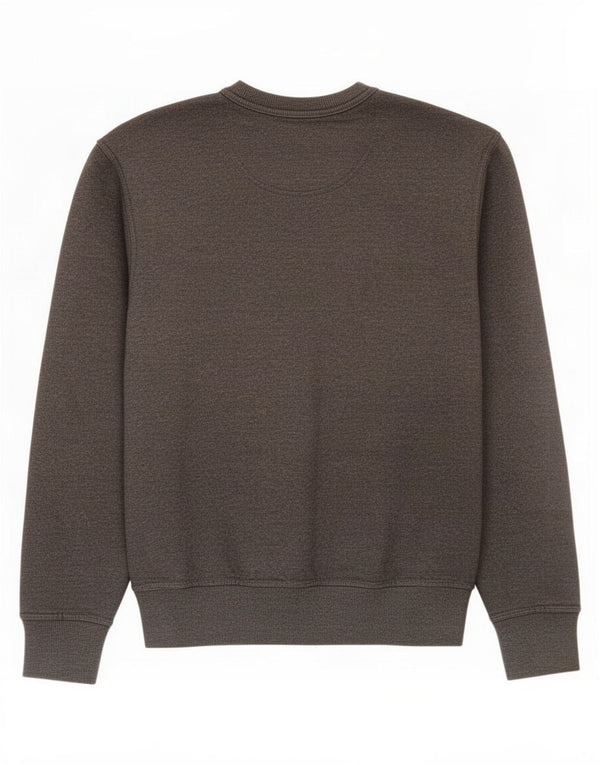 Champion Mens Graphic Sweatshirt Jumper Small Grey Cotton