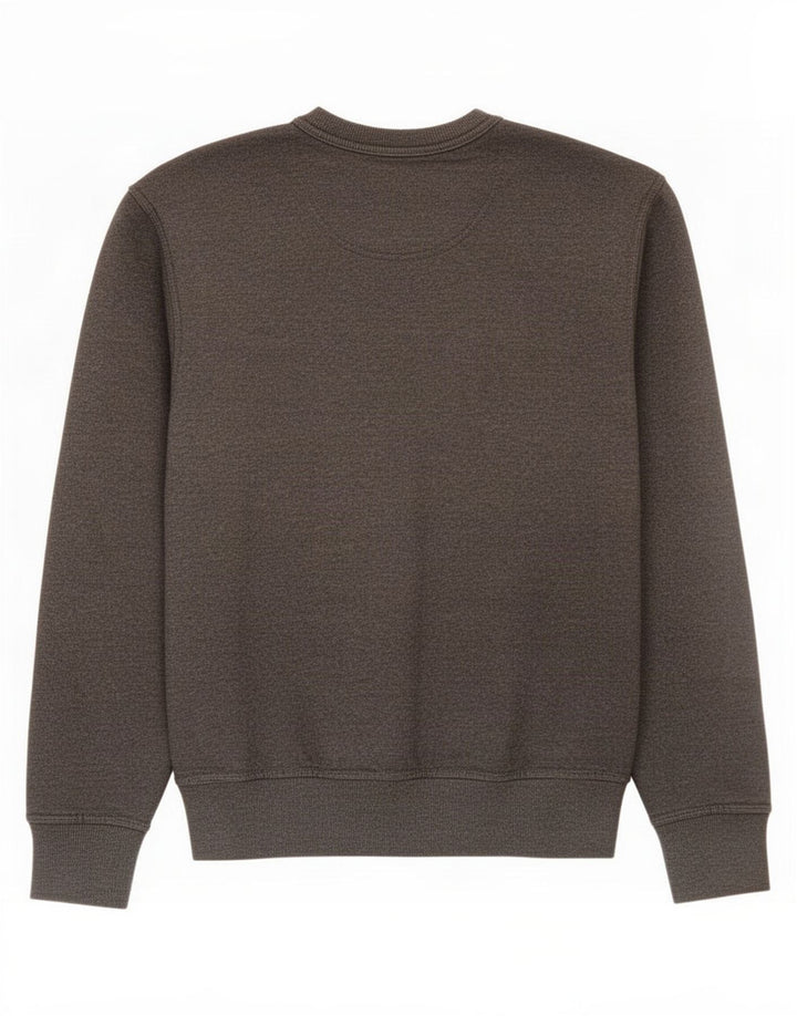 Champion Herren-Sweatshirt mit Grafik, Größe S, Grau, Baumwolle