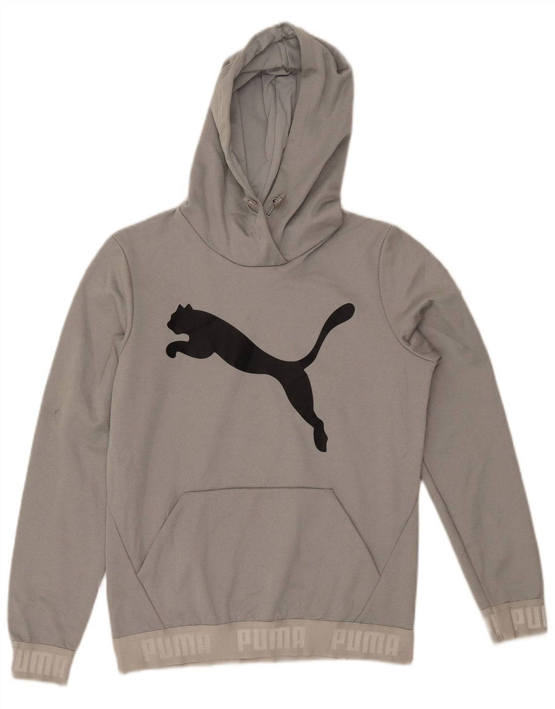 PUMA Damen Graphic Hoodie Pullover UK 12 Mittelgraues Polyester