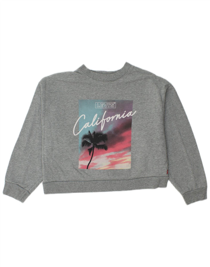 Levi's Damen-Sweatshirt, übergroß, Crop Graphic, Gr. 10, Größe S, Grau