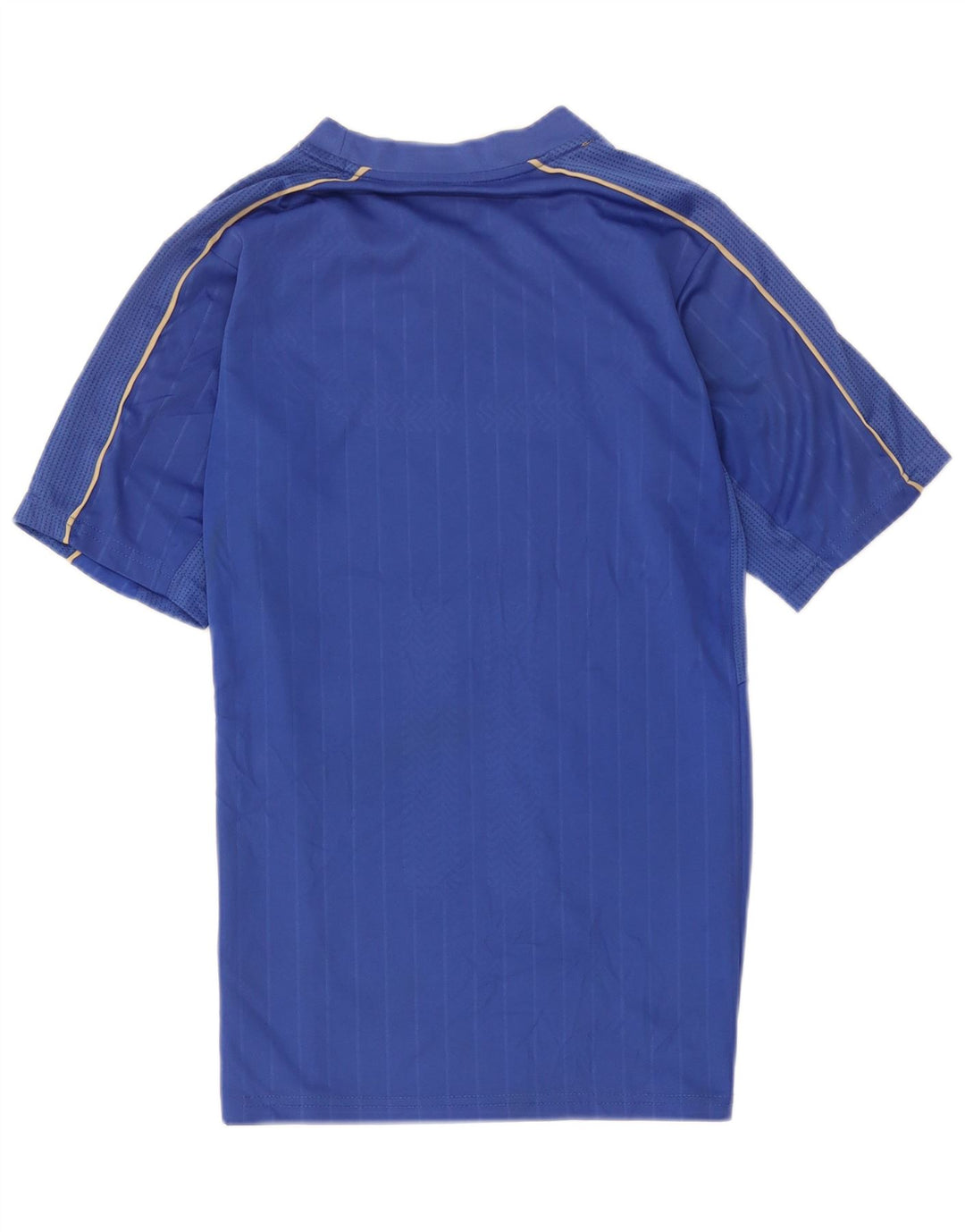 Puma Herren Italia Graphic T-Shirt Top Mittelblaues Polyester
