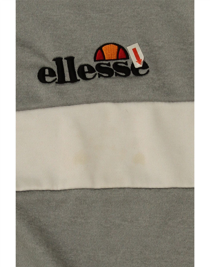 Ellesse Herren-Sweatshirt mit Grafik, klein, grau, Farbblock-Polyester