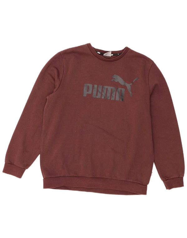 Puma Herren Grafik-Sweatshirt-Pullover Mittelbraun