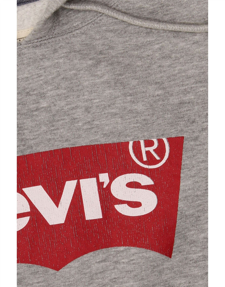 Levi's Herren-Kapuzenpullover mit Grafik, groß, grau gefleckte Baumwolle