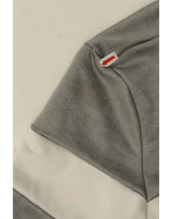 Ellesse Herren-Sweatshirt mit Grafik, klein, grau, Farbblock-Polyester