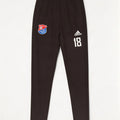 Adidas Herren-Trainingshose mit Grafik, Größe S, Schwarz, Polyester