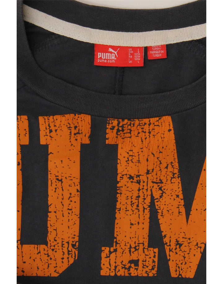Puma Herren Graphic Top Langarm Large Grau Baumwolle