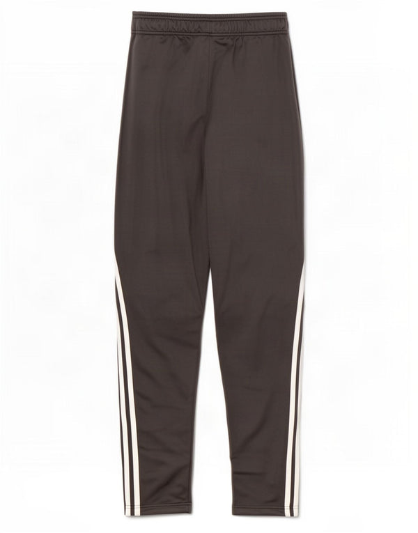 Adidas Jungen Primegreen Trainingshose, 13–14 Jahre, graues Polyester