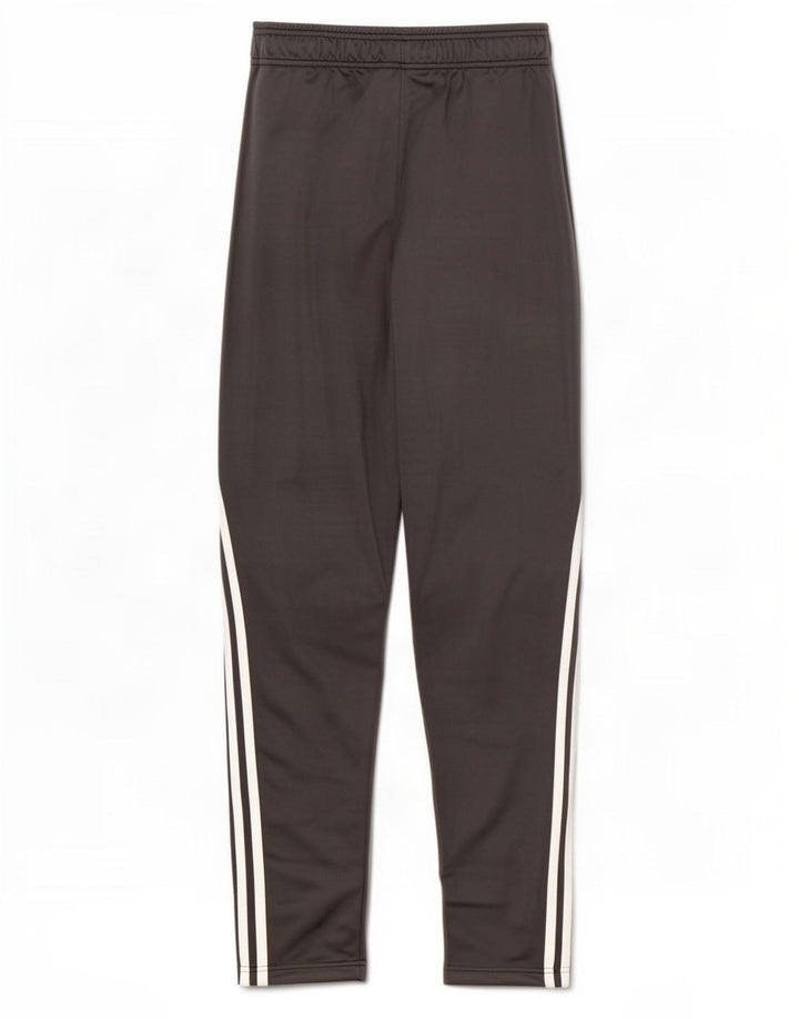 Adidas Jungen Primegreen Trainingshose, 13–14 Jahre, graues Polyester