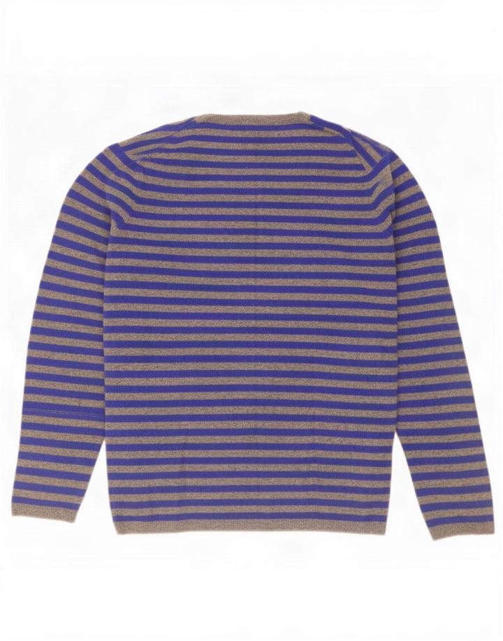 Gap Herren-Pullover mit V-Ausschnitt, groß, blau gestreifte Lammwolle
