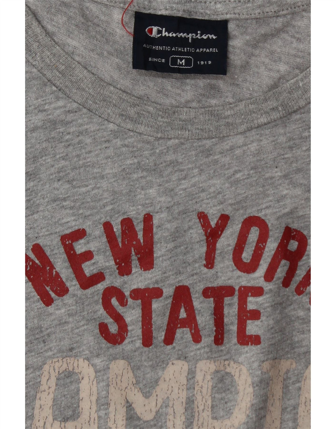 Champion Herren Grafik-Weste-Top Mittelgrau meliert