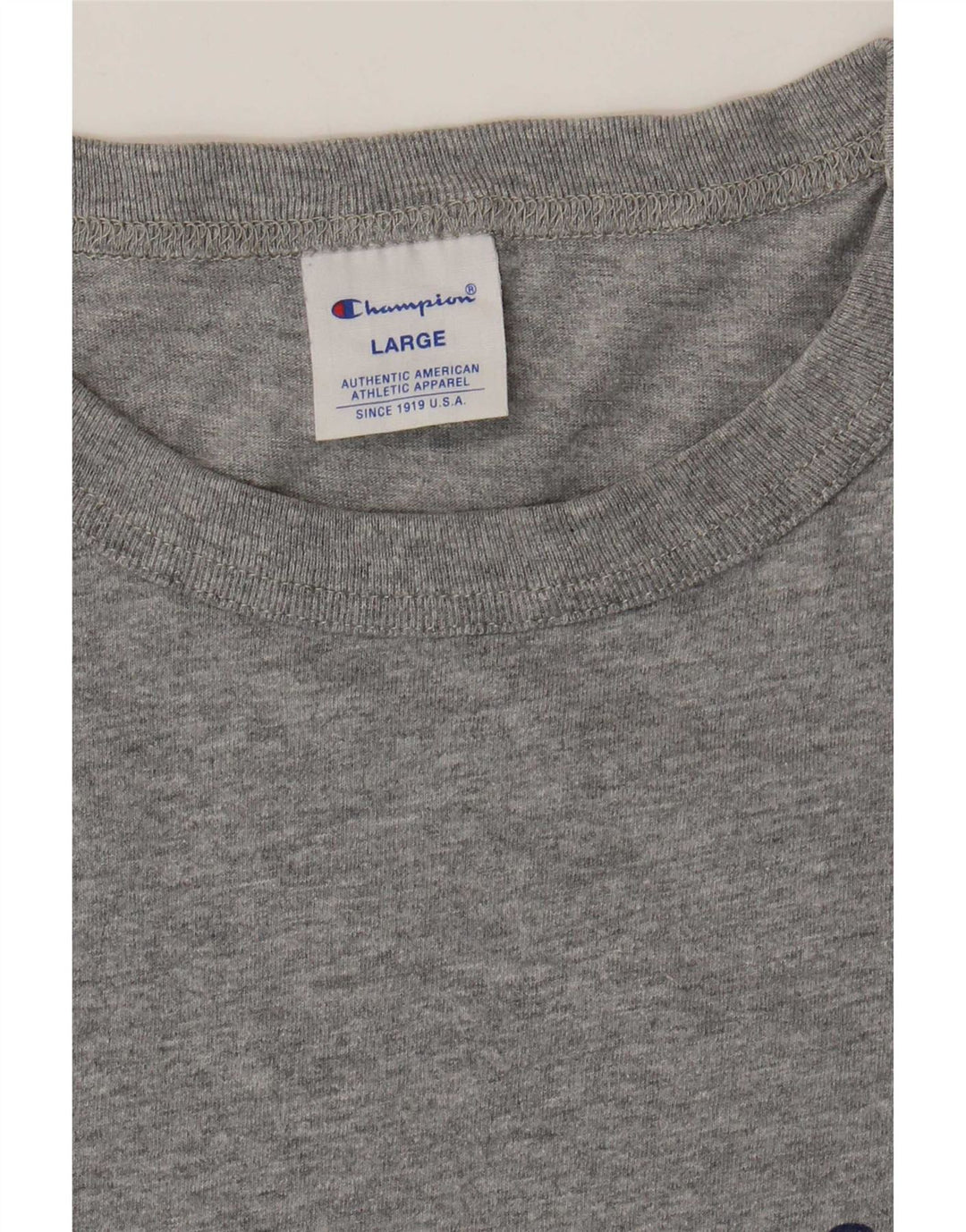 Champion Herren-T-Shirt mit Grafik, groß, grau gefleckt