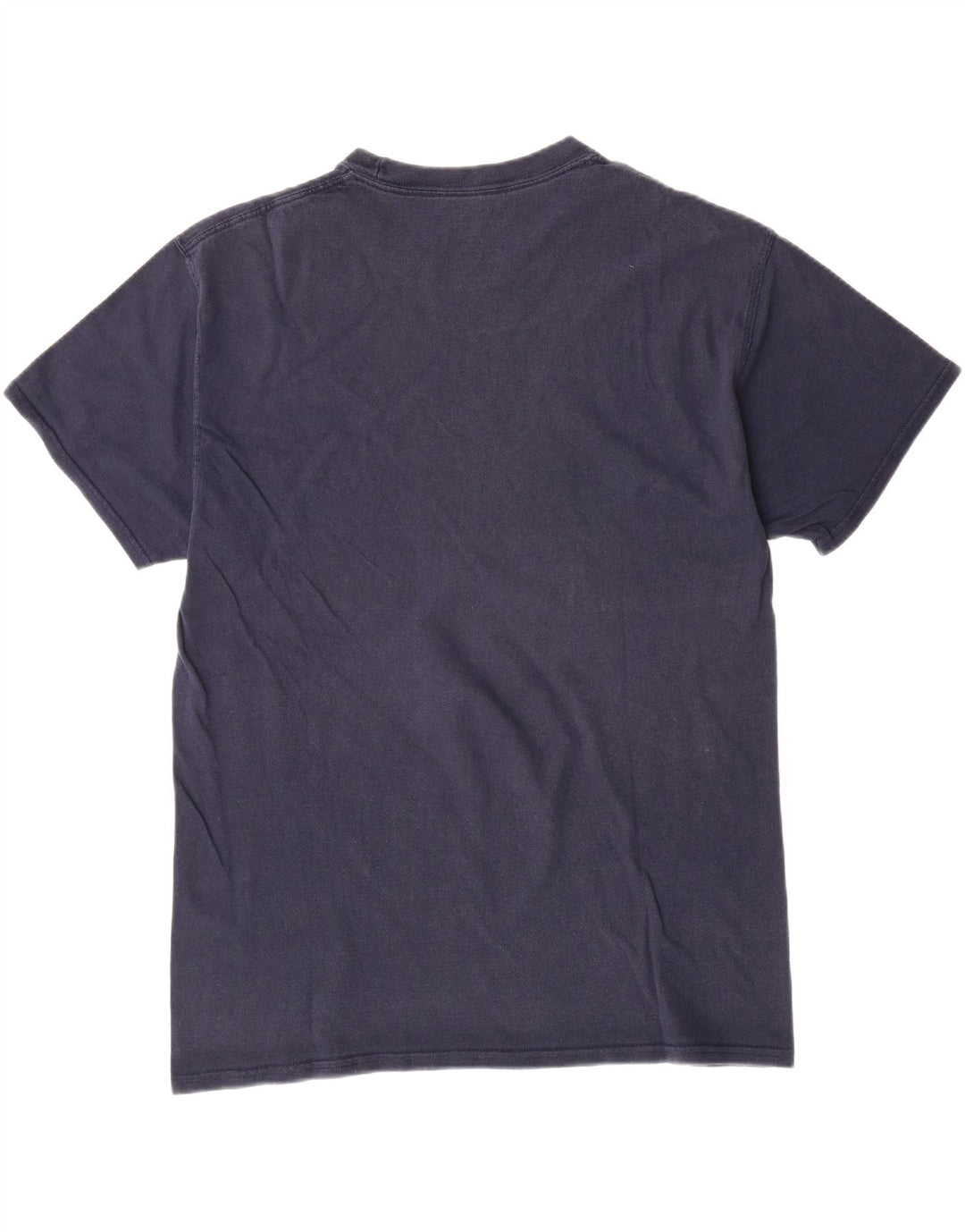 CHAMPION Mens T-Shirt Top Large Navy Blue Vintage Champion and Second-Hand Champion from Messina Hembry 