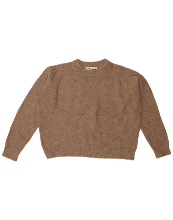 ZARA Damen Crop Crew Neck Pullover Pullover UK 16 Großes braunes Nylon