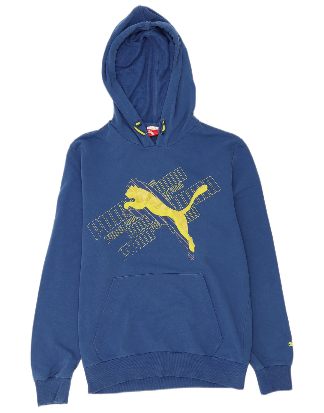 PUMA Herren Graphic Hoodie Pullover Small Blau