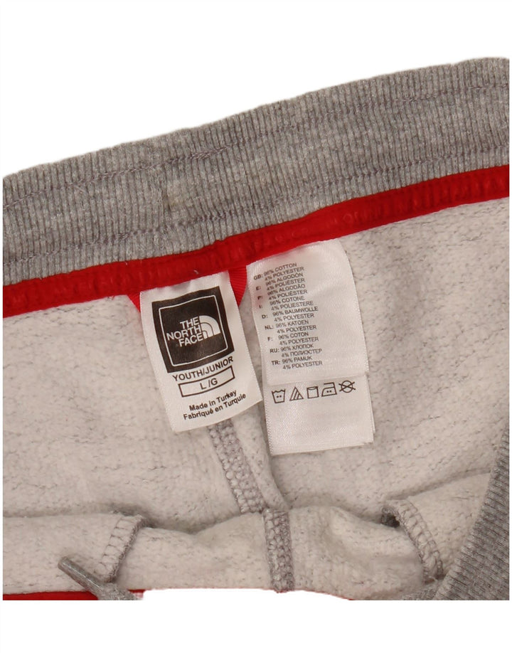 THE NORTH FACE Jungen-Trainingsanzug, Hose, Jogger, 11–12 Jahre, Größe L, Grau