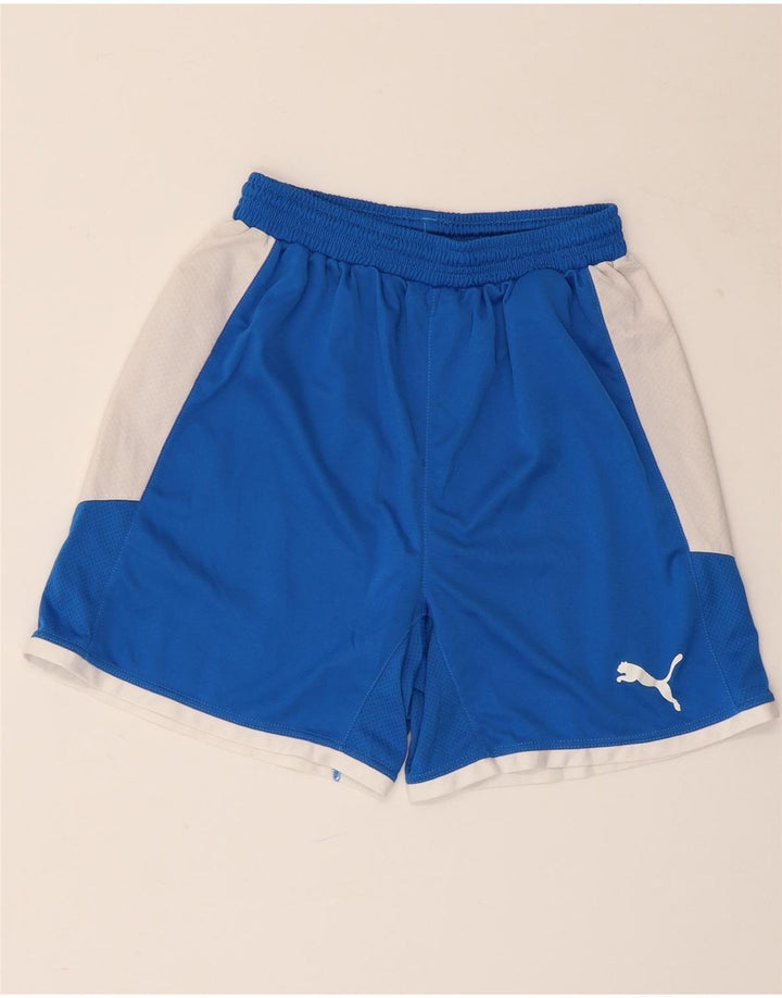 PUMA Herren-Sportshorts, klein, blau, Farbblock-Polyester