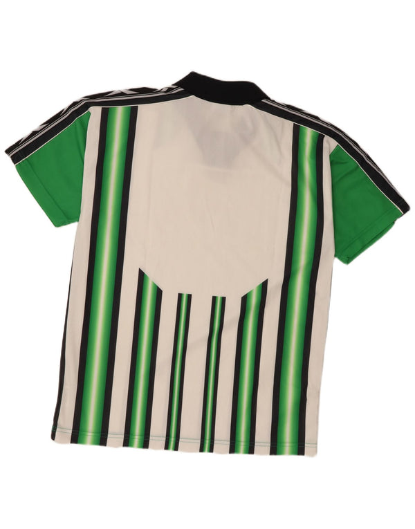 Reebok Herren-Poloshirt mit Grafik, groß, grün gestreift, Polyester