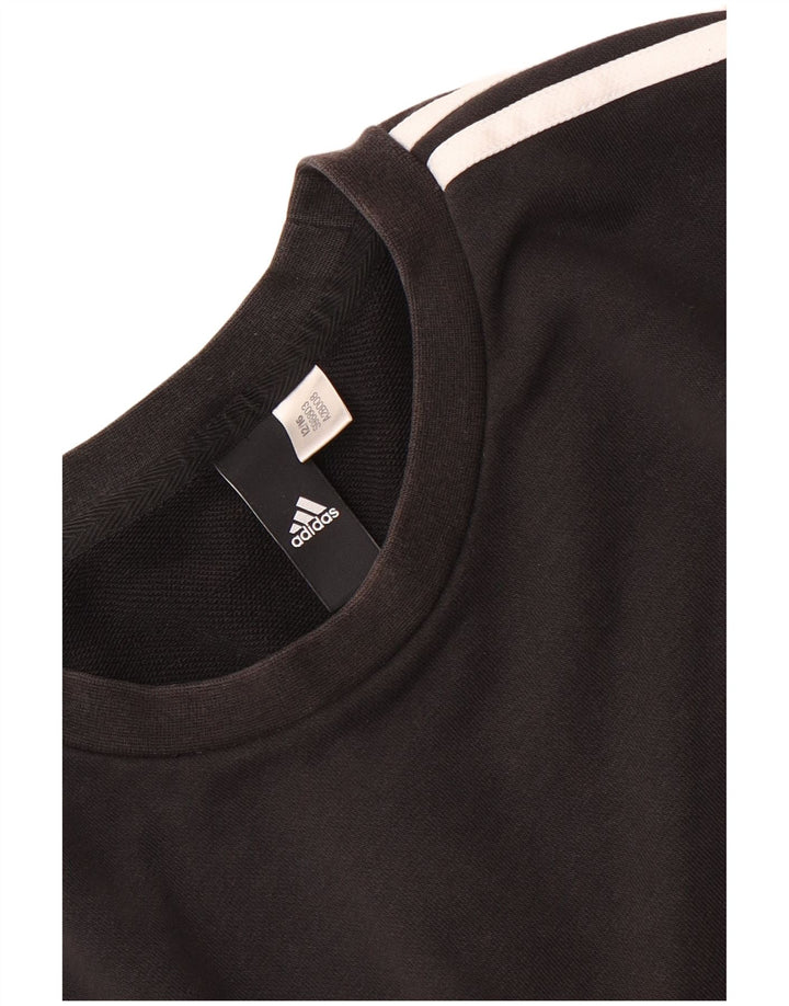 Adidas Herren Sweatshirt Pullover Medium Schwarz