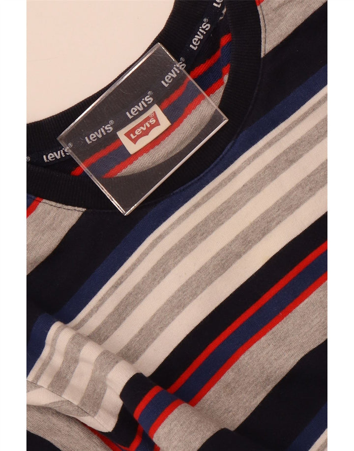 Levi's Herren-Sweatshirtpullover, klein, mehrfarbig, gestreift