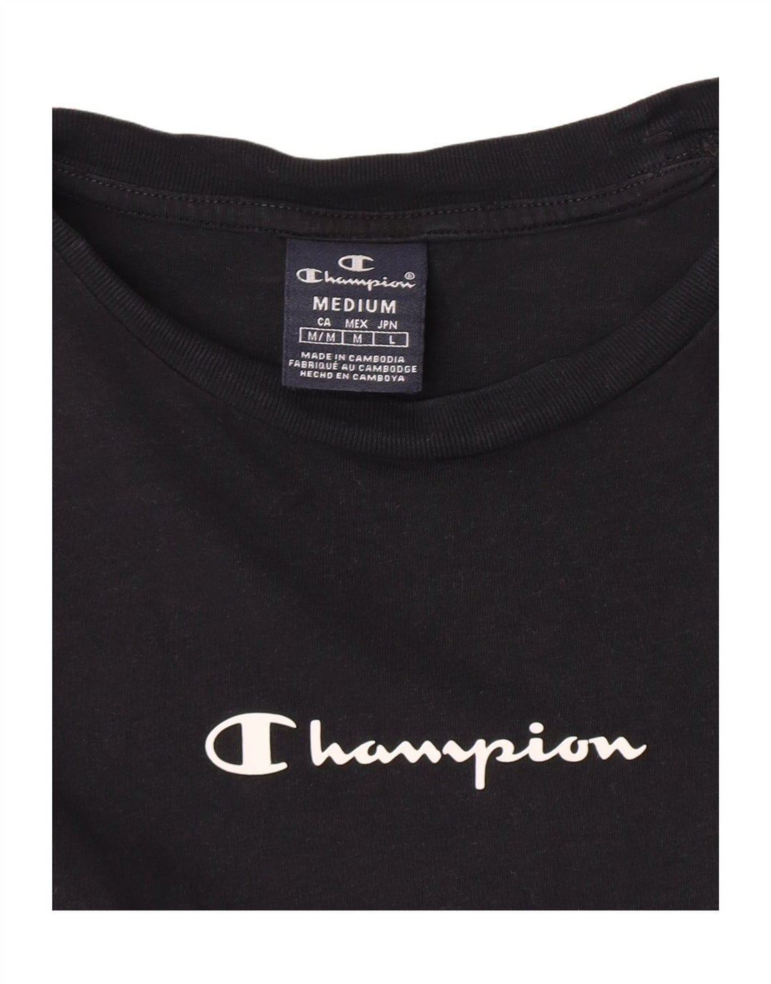 Champion Herren-T-Shirt mit Grafik, mittelgroß, Schwarz, Farbblock