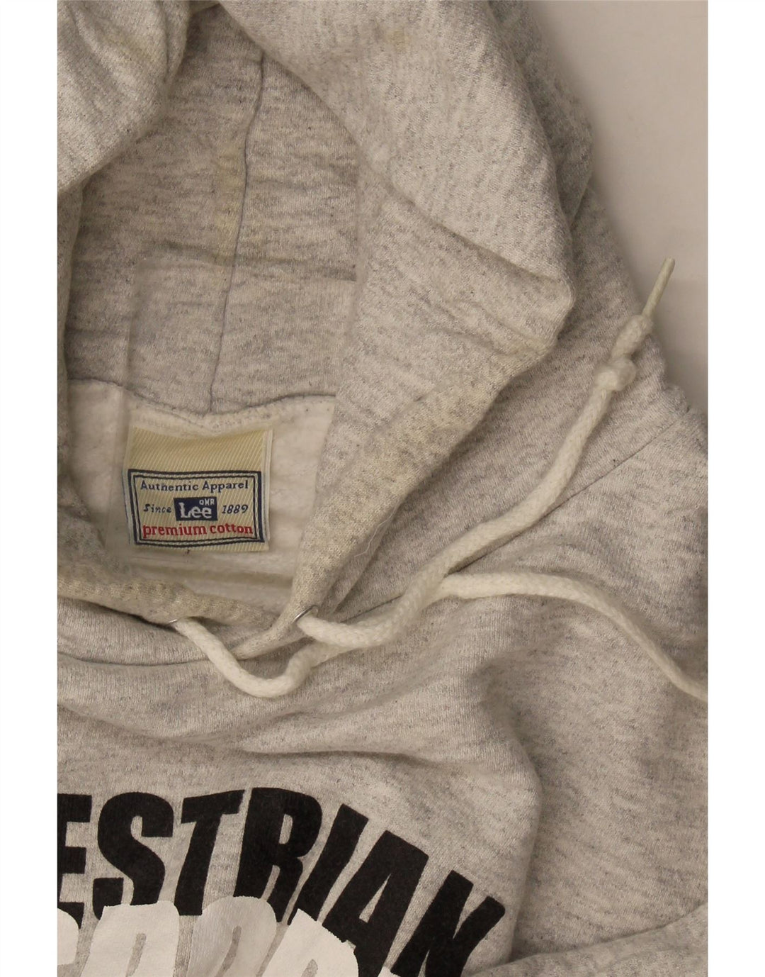 Lee Herren-Kapuzenpullover mit Grafik, mittelgrau