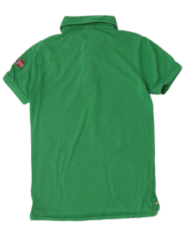 Napapijri Geographic-Poloshirt für Jungen, 13–14 Jahre, grüne Baumwolle