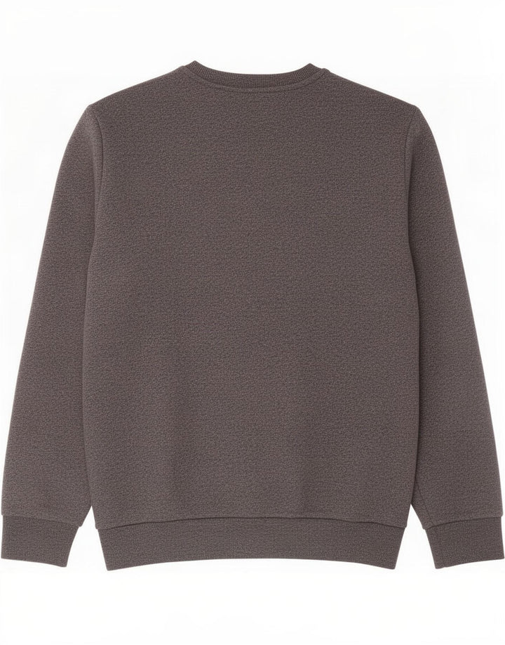 Superdry Herren Grafik-Sweatshirt-Pullover XL aus grauer Baumwolle