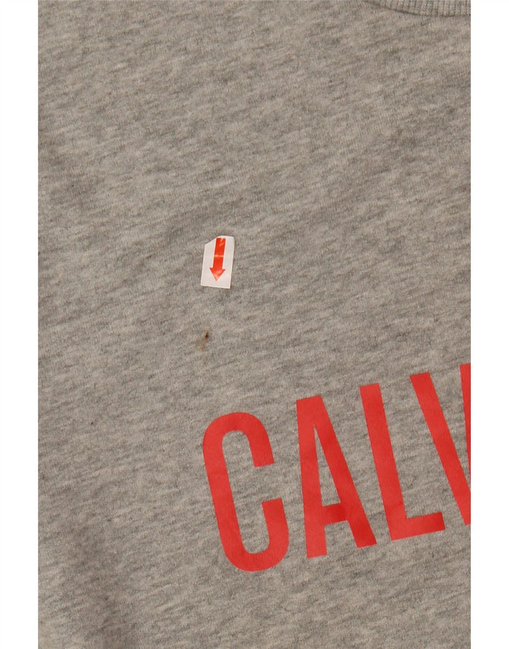 CALVIN KLEIN Herren Grafik-Sweatshirt-Pullover Mittelgrau