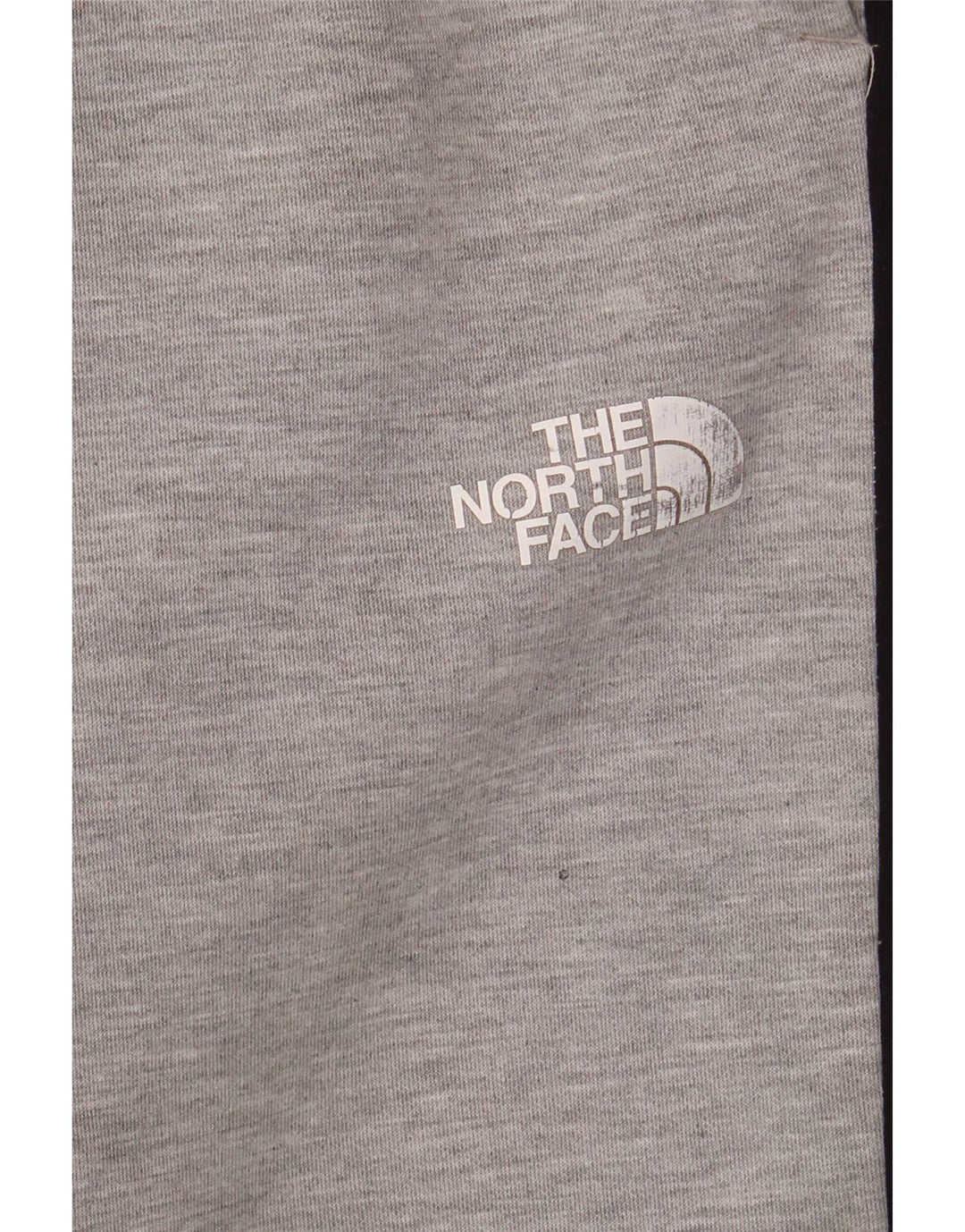 The North Face Herren-Trainingshose, Jogginghose, groß, Grau, Farbblock