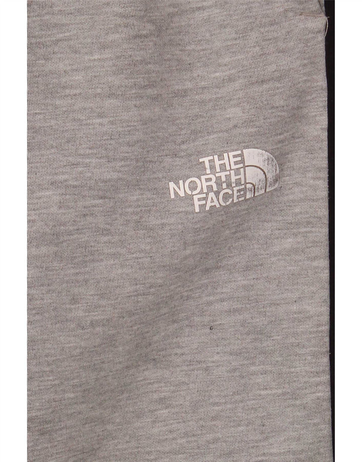 The North Face Herren-Trainingshose, Jogginghose, groß, Grau, Farbblock