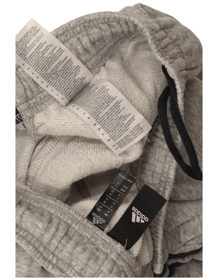 Adidas Herren Trainingshose Jogger mittelgraue Baumwolle