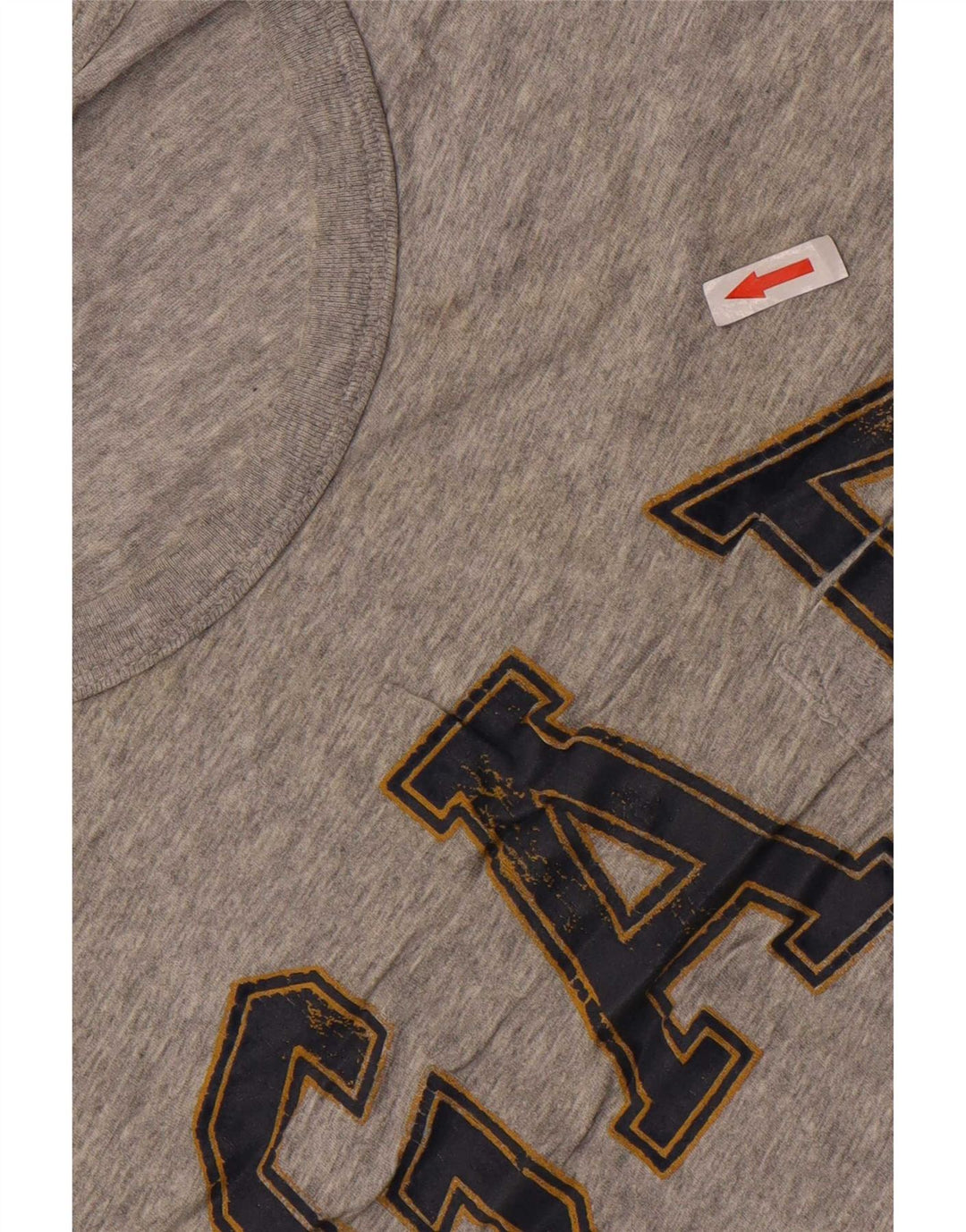 Gap Herren-T-Shirt mit Grafik, Größe L, Grau