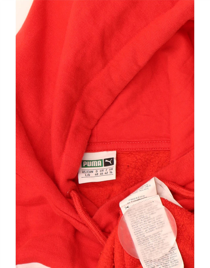 PUMA Damen-Pullover mit übergroßem grafischem Kapuzenpullover, Gr. 14, Größe L, Rot, Farbblock