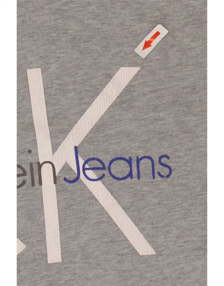 Calvin Klein Jeans Herren Graphic Hoodie Pullover Mittelgrau