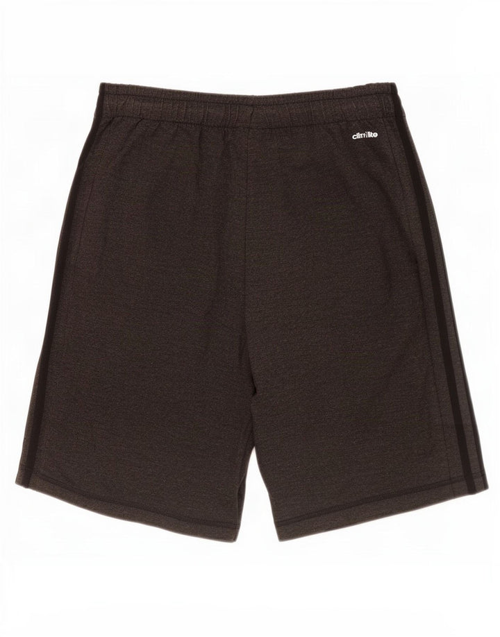 Adidas Herren Climalite Sport Shorts Small Grau Polyester