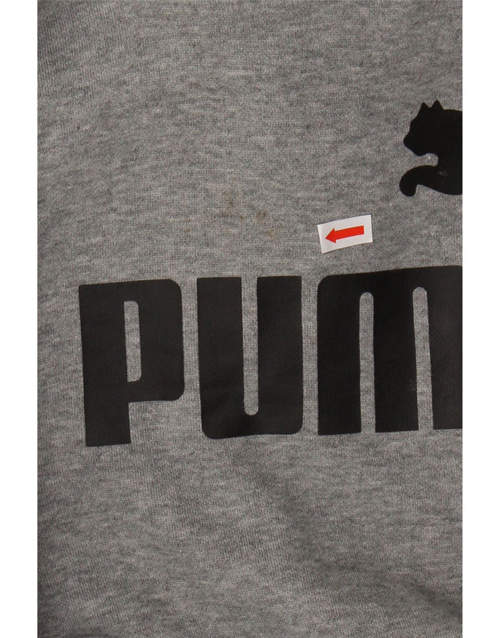 PUMA Jungen Graphic Hoodie Pullover 9-10 Jahre Grau