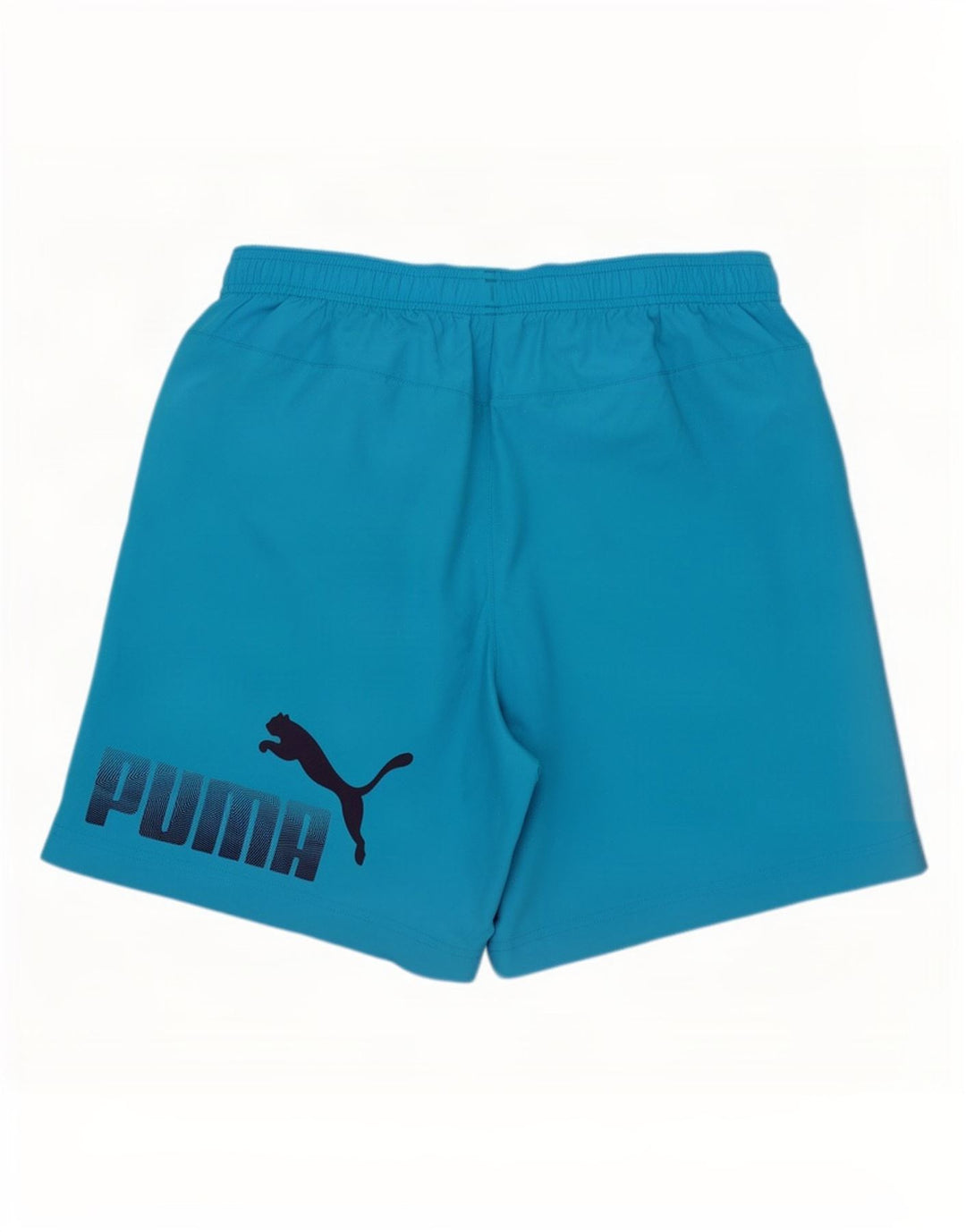 Puma Herren Graphic Sport Shorts Mittelblau