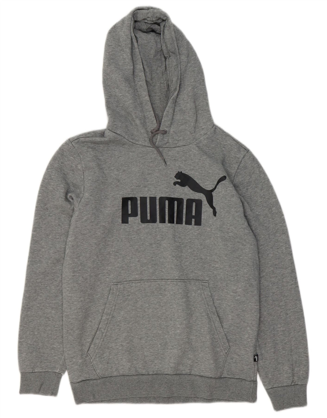 PUMA Herren Graphic Hoodie Pullover Kleine graue Baumwolle