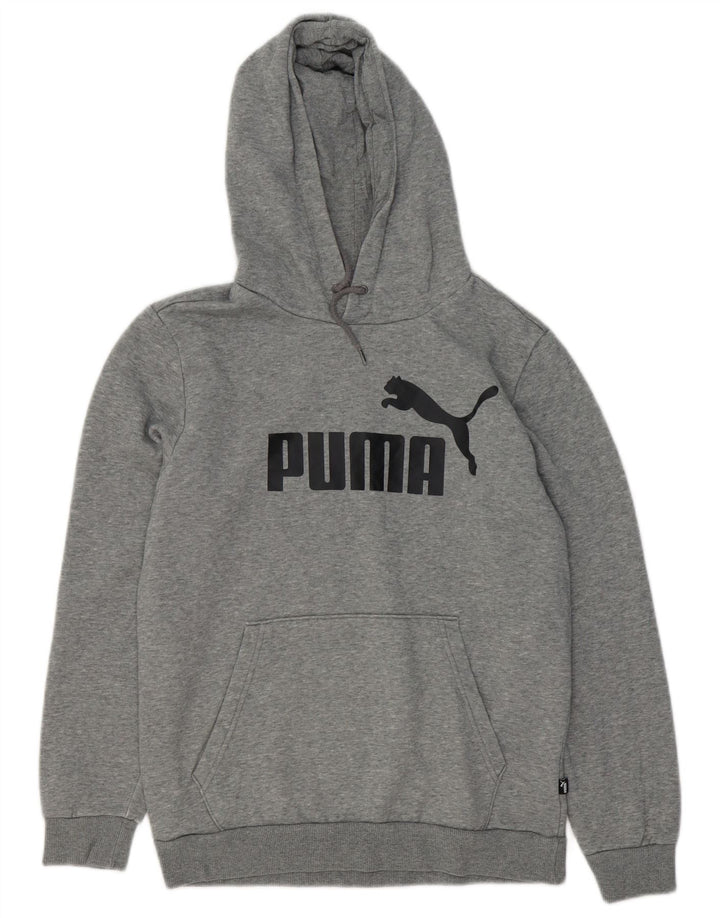PUMA Herren Graphic Hoodie Pullover Kleine graue Baumwolle