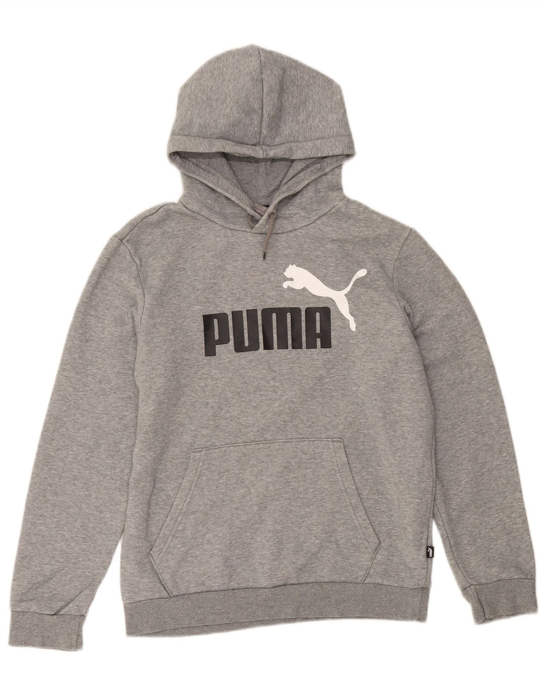 Puma Herren Graphic Hoodie Pullover Kleine graue Baumwolle