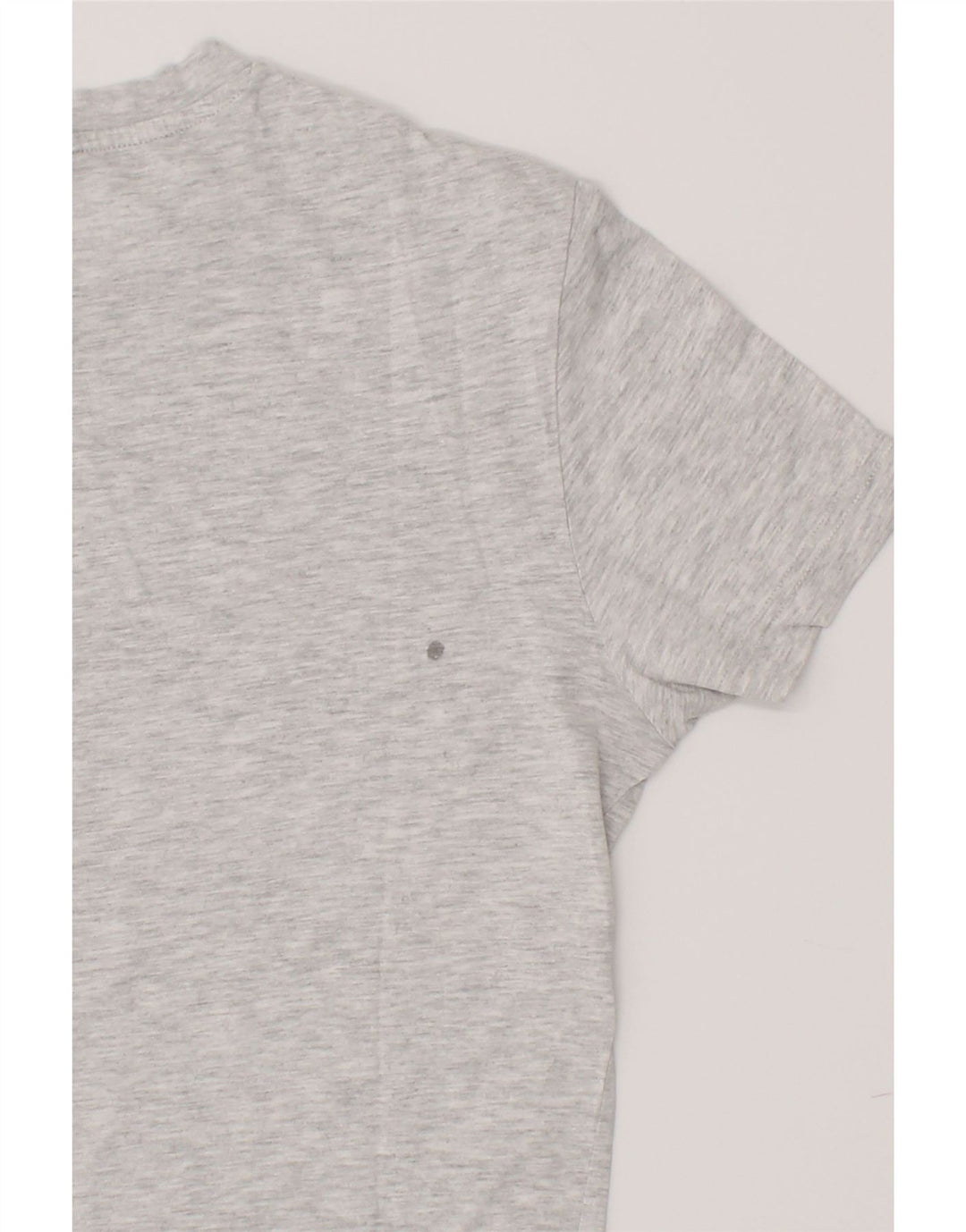 CHAMPION Mens Graphic T-Shirt Top Small Grey Cotton Vintage Champion and Second-Hand Champion from Messina Hembry 
