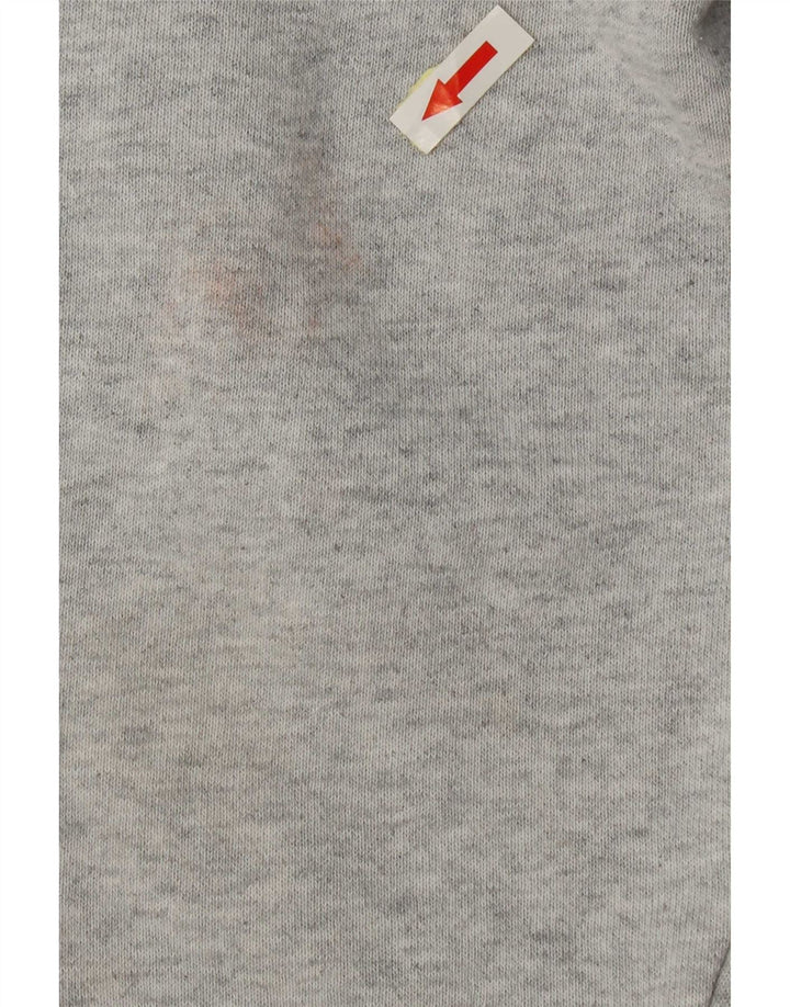 Champion Herren-Sweatshirt-Pullover, große graue Baumwolle