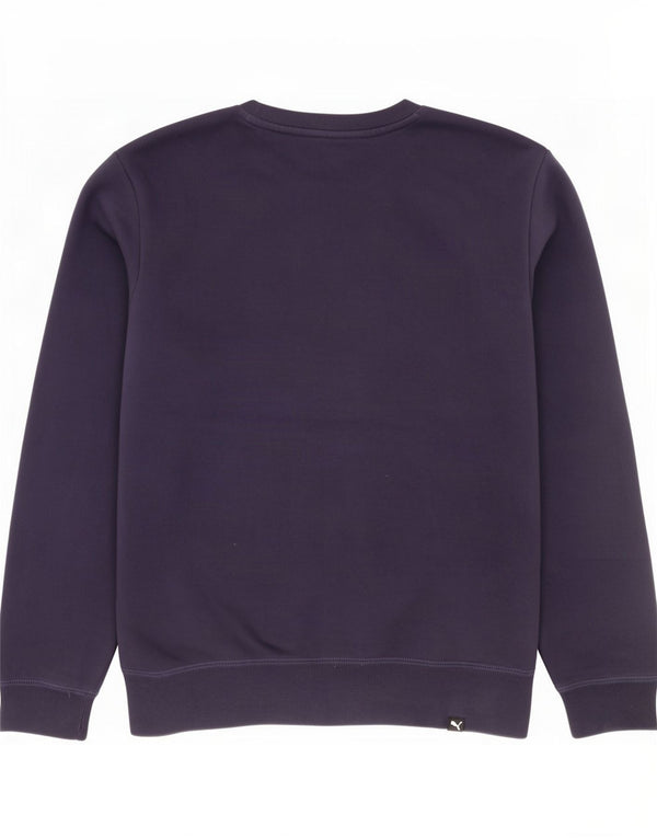 Puma Herren Grafik-Sweatshirt-Pullover, klein, marineblau, Baumwolle