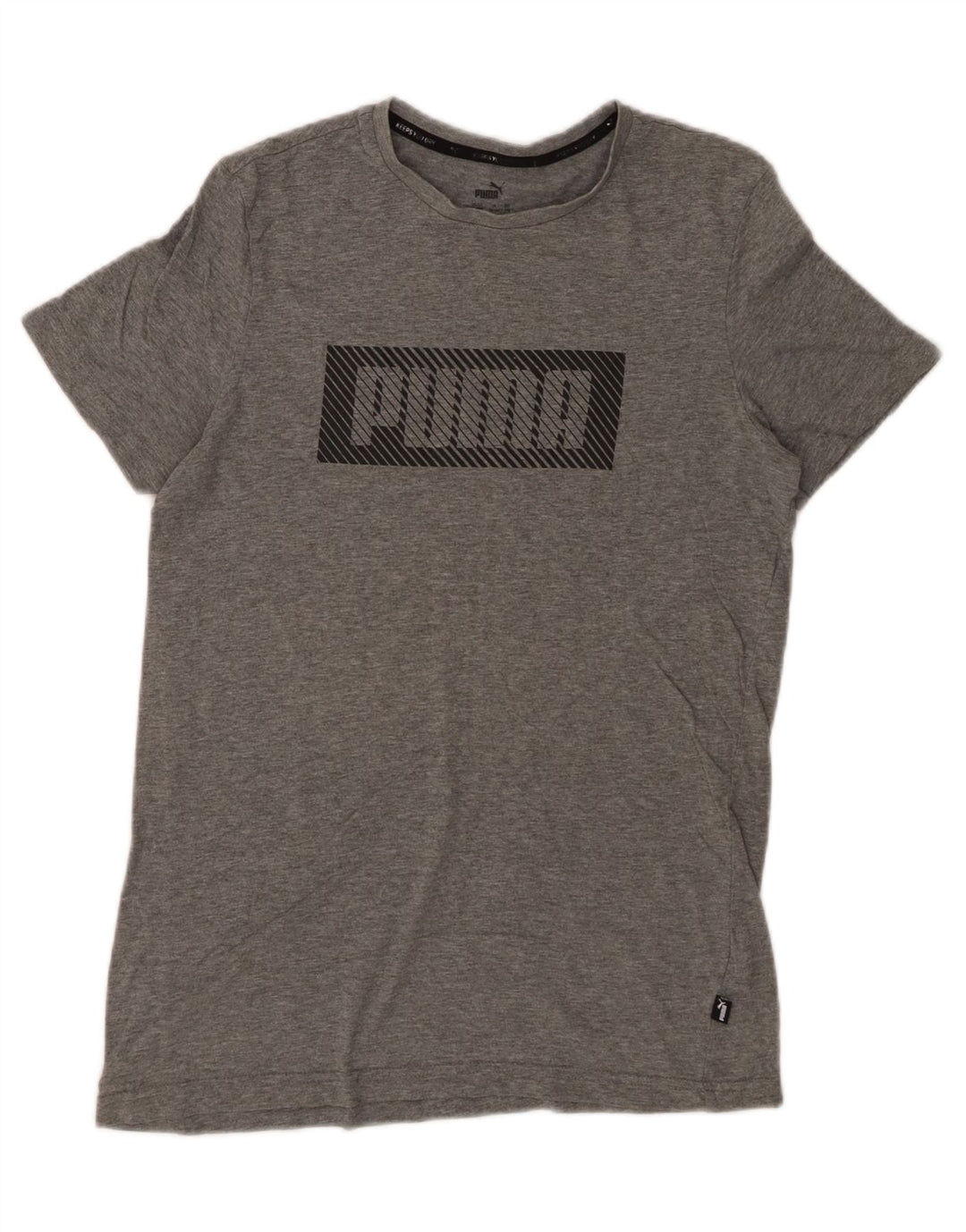 PUMA Jungen Graphic T-Shirt Top 15-16 Jahre XL Grau