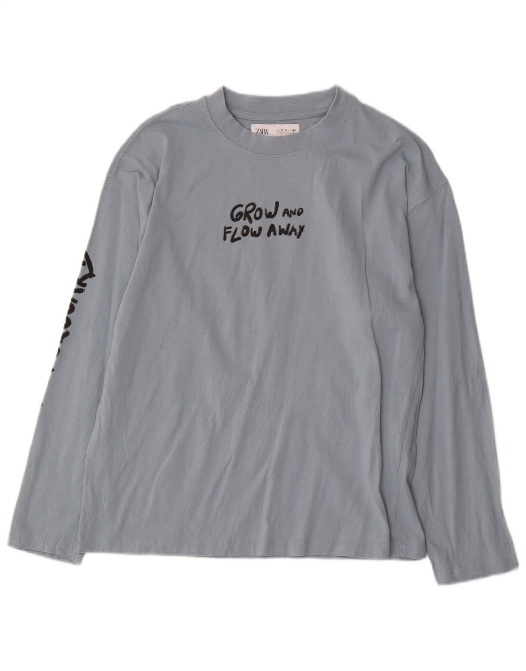 Zara Langarmshirt mit Grafik für Jungen, 11–12 Jahre, blaue Baumwolle