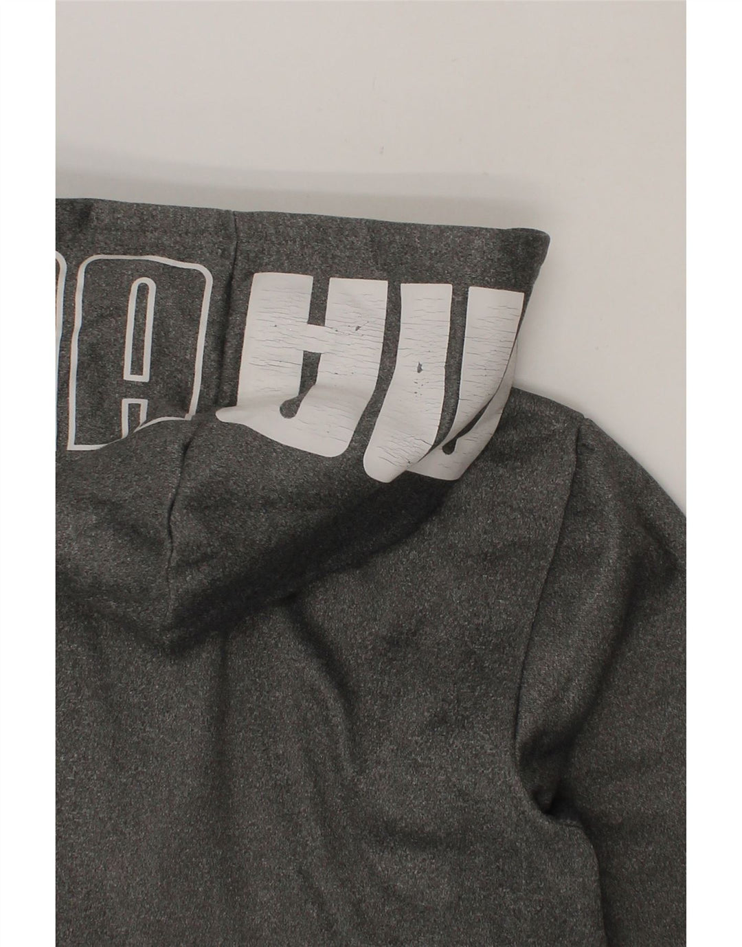 PUMA Boys Graphic Zip Hoodie Sweater 9-10 Years Medium Grey Polyester Vintage Puma and Second-Hand Puma from Messina Hembry 